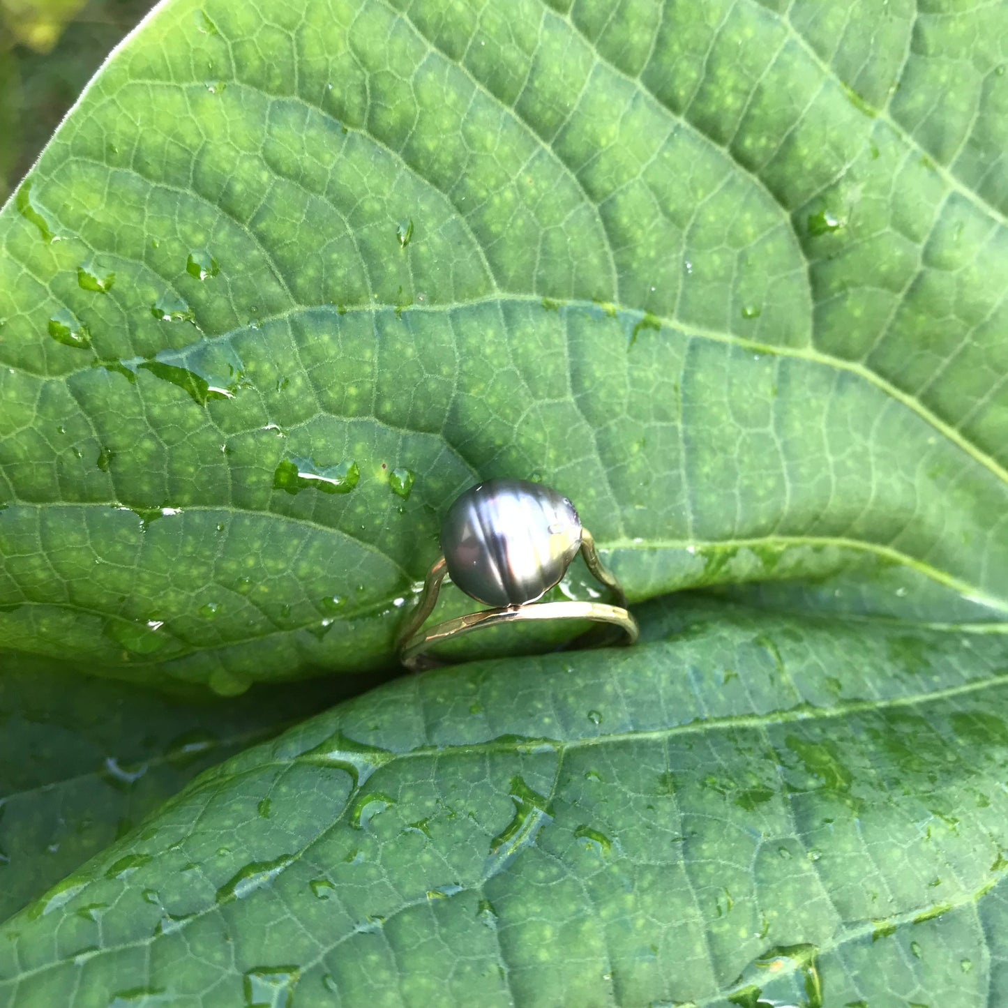 Tahitian pearl Ring