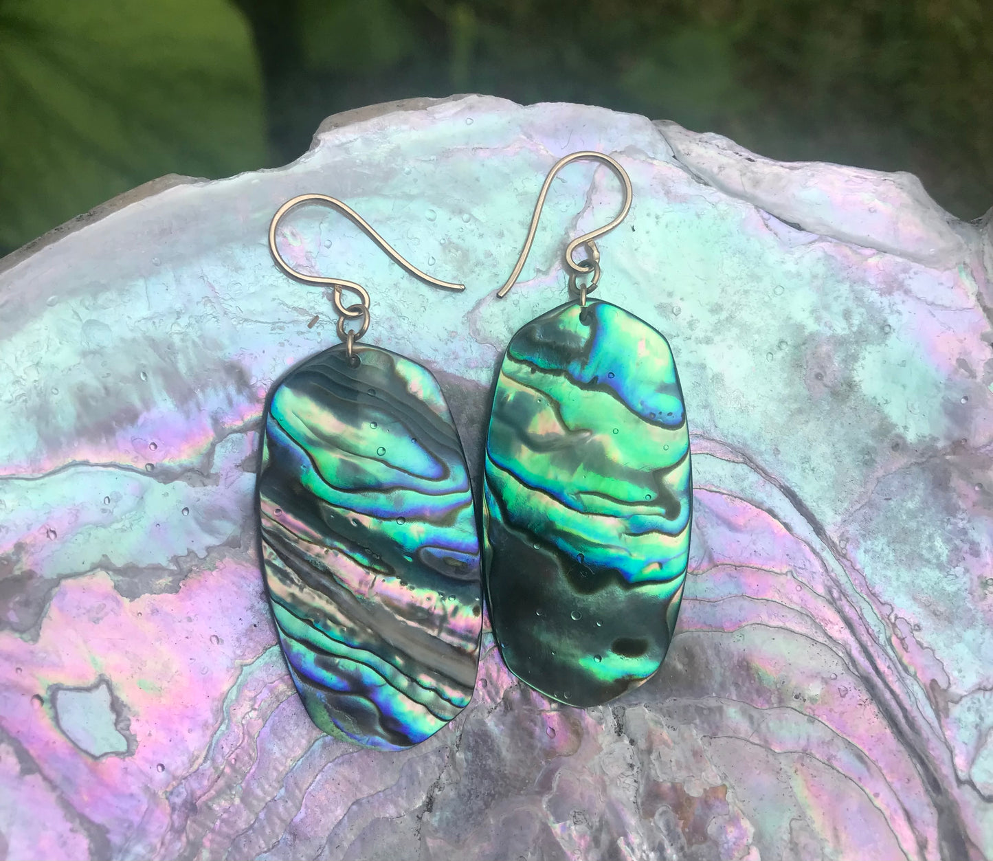 Abalone Earrings